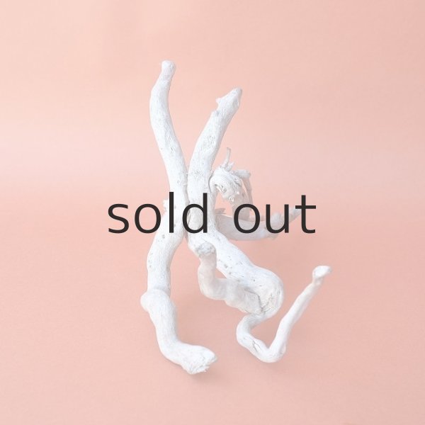 画像2: ミニ流木根 (2)