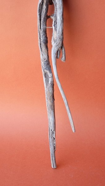 画像2: 流木根 (2)