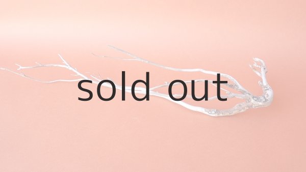 画像2: 流木根 (2)