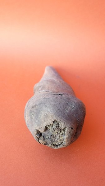 画像2: 変形流木 (2)