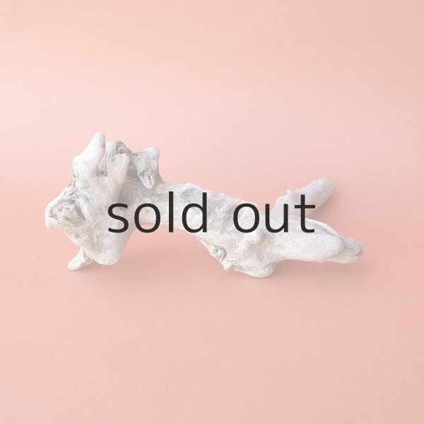 画像2: ミニ流木根 (2)