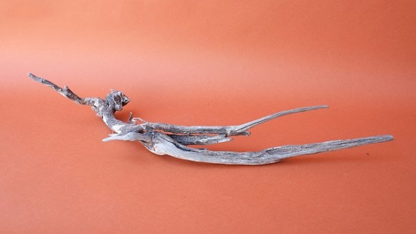 画像6: 流木根 (6)