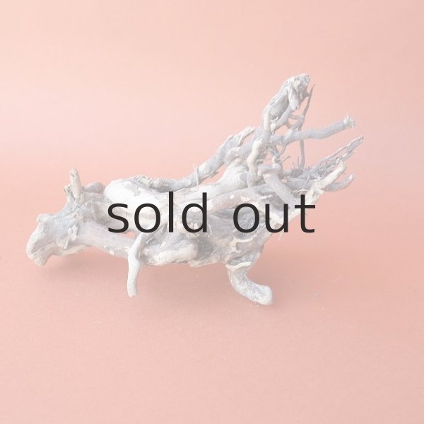 画像2: ミニ流木根 (2)