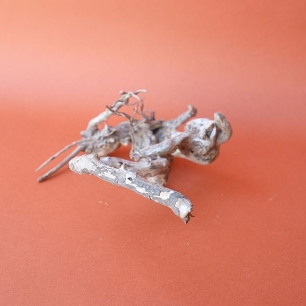 画像2: ミニ流木根 (2)