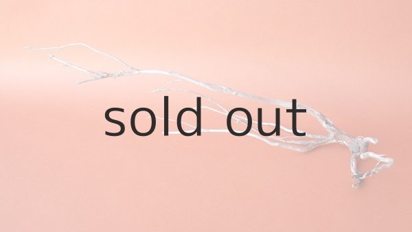 画像3: 流木根 (3)