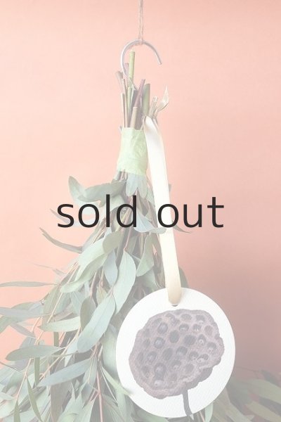 画像2: Dry plants for decor ユーカリ（ビミナリス）シンプルスワッグ (2)