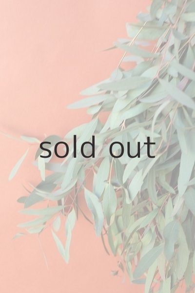 画像3: Dry plants for decor ユーカリ（ビミナリス）シンプルスワッグ (3)