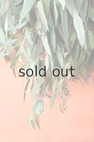 画像4: Dry plants for decor ユーカリ（ビミナリス）シンプルスワッグ (4)