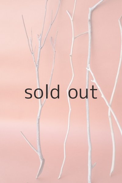 画像2: 小枝流木セット (2)