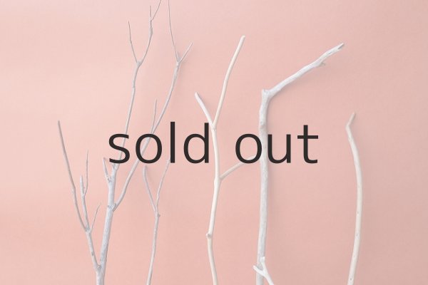 画像6: 小枝流木セット (6)