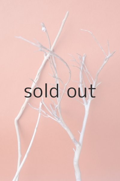 画像5: 小枝流木セット (5)