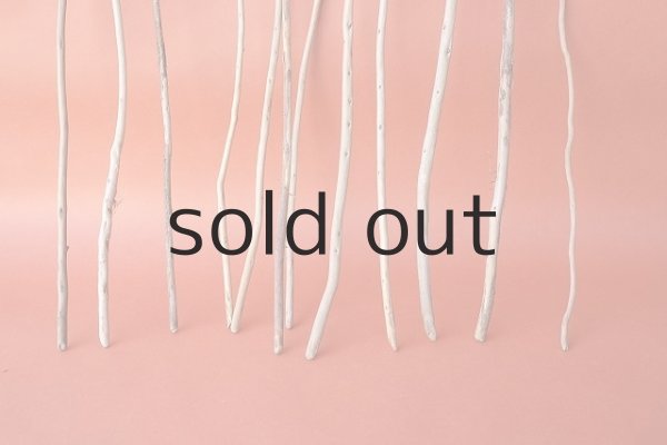 画像2: 棒流木セット (2)