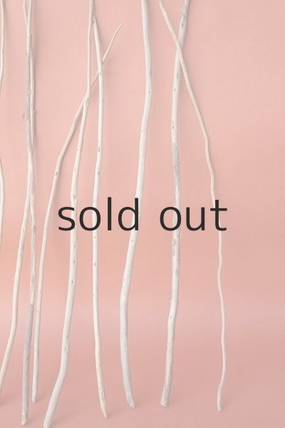 画像6: 棒流木セット (6)