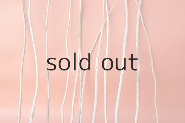 画像3: 棒流木セット (3)