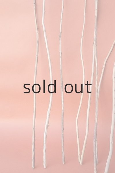 画像5: 棒流木セット (5)