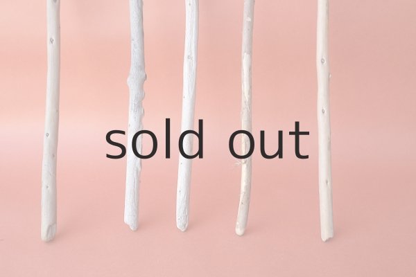 画像2: 棒流木セット (2)