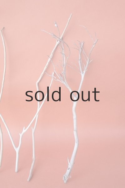 画像4: 小枝流木セット (4)