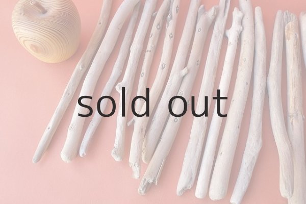 画像2: 棒流木セット (2)