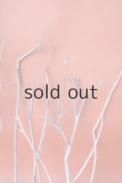 画像7: 小枝流木セット (7)