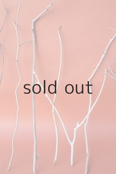 画像3: 小枝流木セット (3)