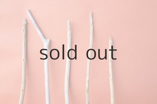 画像3: 棒流木セット (3)