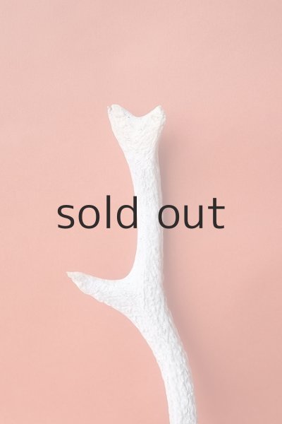 画像3: デコール用二ホンジカの角＊outlet＊ (3)