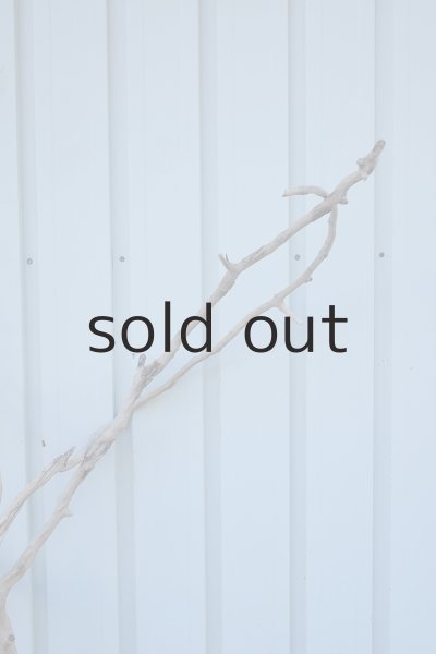 画像4: 大型　幹 (4)