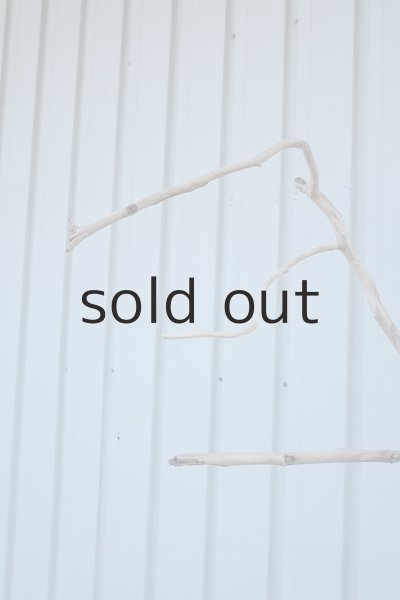 画像5: 大型　幹 (5)