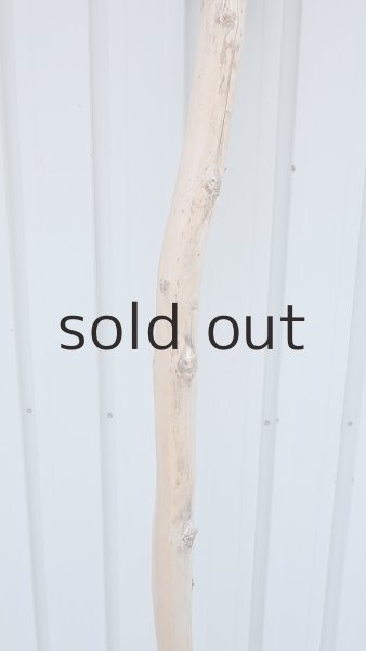 画像3: 大型　棒 (3)