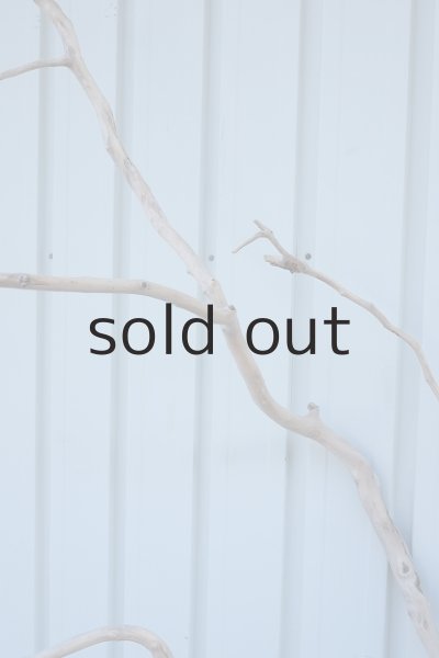 画像6: 大型　幹 (6)