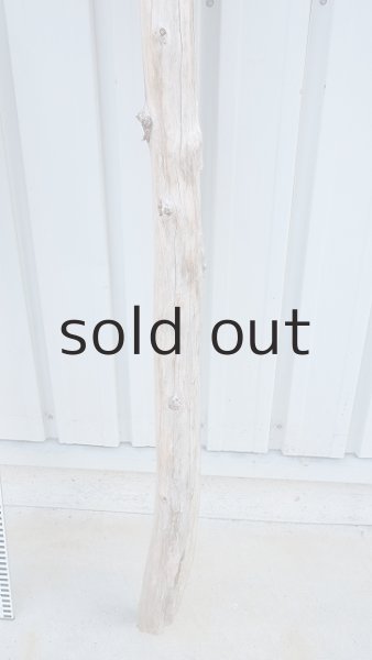 画像5: 大型　棒 (5)