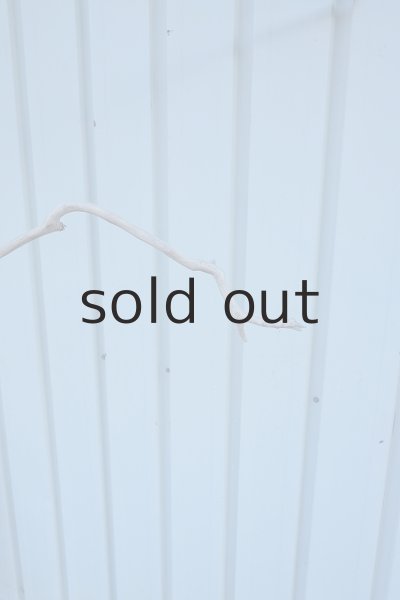 画像12: 大型　幹 (12)