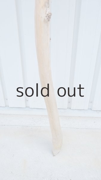 画像2: 大型　棒 (2)