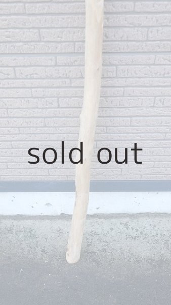 画像2: 棒流木・長尺 (2)