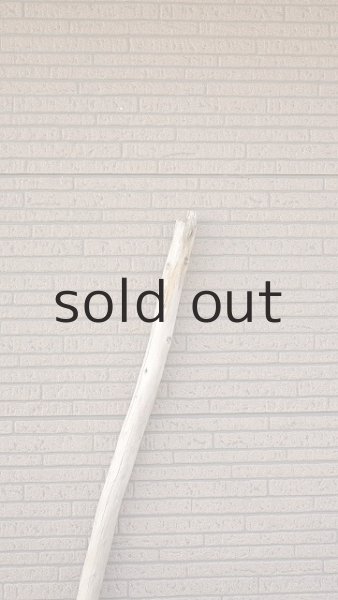 画像4: 棒流木・長尺 (4)