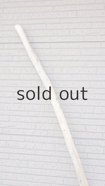 画像4: 棒流木・長尺 (4)