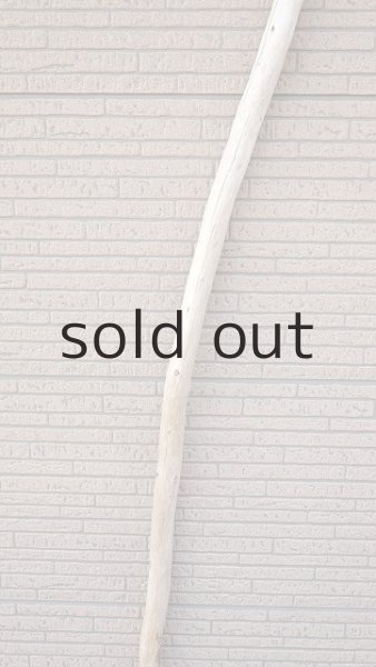 画像3: 棒流木・長尺 (3)