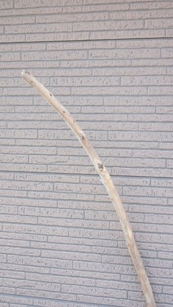 画像4: 棒流木・長尺 (4)