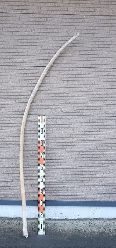 画像3: 棒流木・長尺