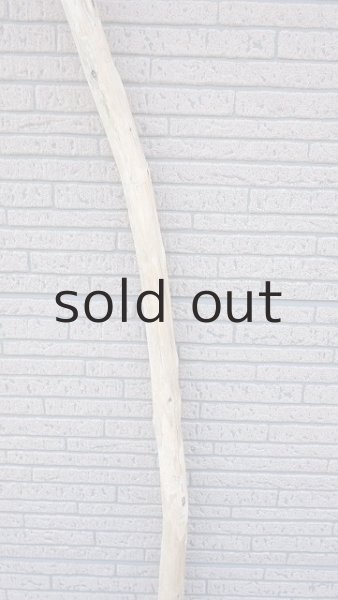 画像3: 棒流木・長尺 (3)