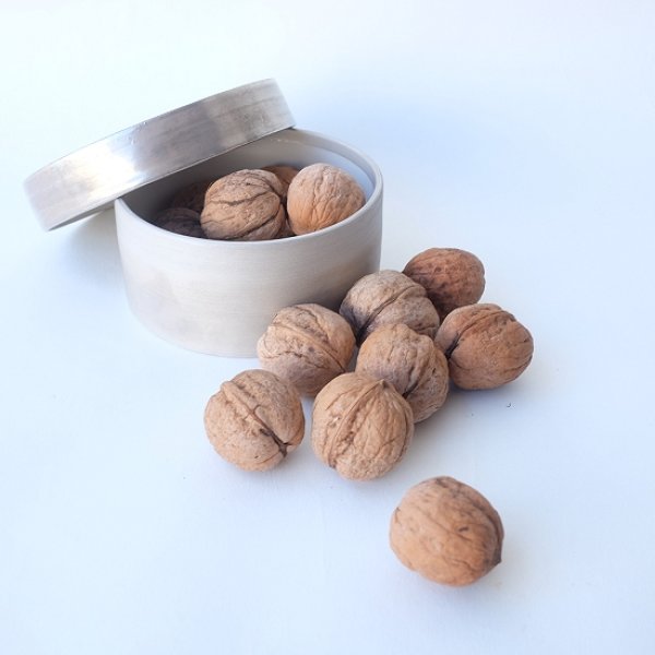 画像3: Dry plants for decor デコール用乾燥胡桃（5個入） (3)