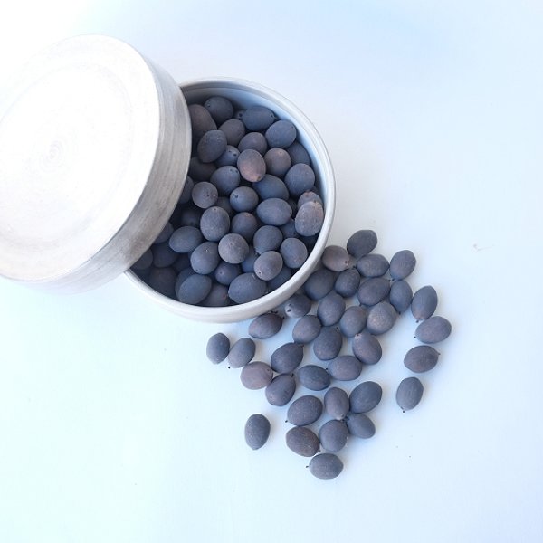 画像2: Dry plants for decor デコール用乾燥種子（蓮）100ｇ (2)