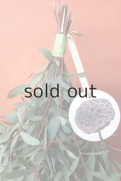 画像2: Dry plants for decor ユーカリ（ビミナリス）シンプルスワッグ (2)