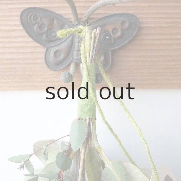 画像2: Dry plants for decor ユーカリシンプルminiスワッグ (2)