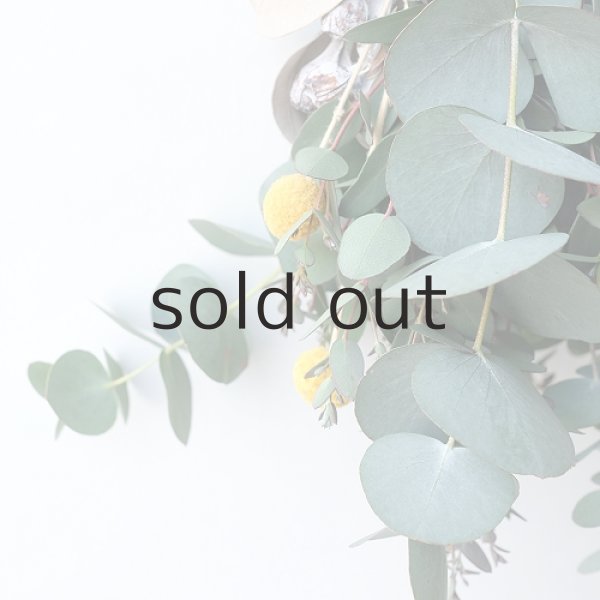 画像3: Dry plants for decor ユーカリシンプルminiスワッグ (3)