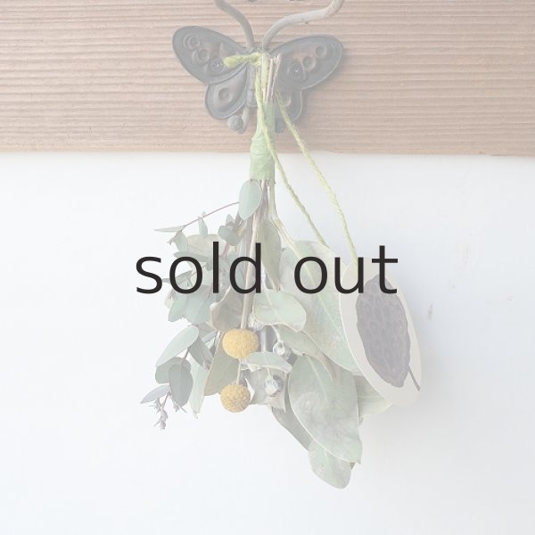 画像1: Dry plants for decor ユーカリシンプルminiスワッグ (1)