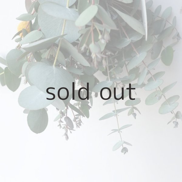 画像4: Dry plants for decor ユーカリシンプルminiスワッグ (4)