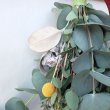 画像5: Dry plants for decor ユーカリシンプルminiスワッグ (5)