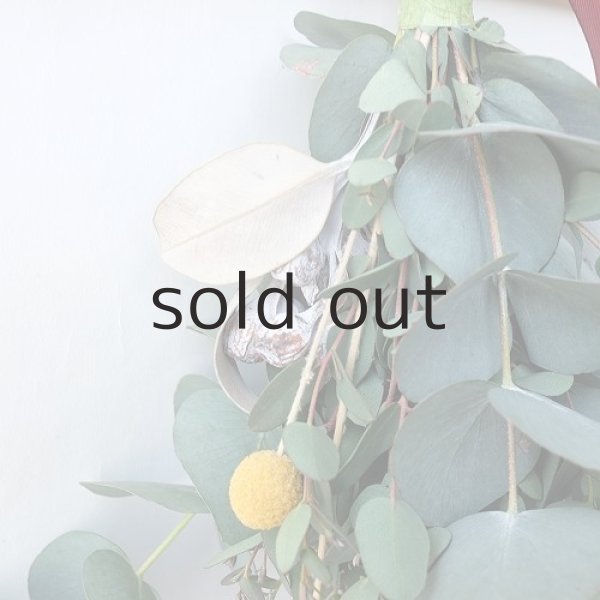 画像5: Dry plants for decor ユーカリシンプルminiスワッグ (5)