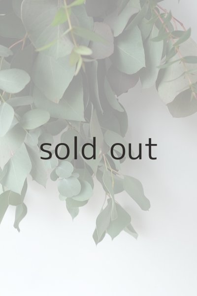 画像5: Dry plants for decor ユーカリ（ポポラス）シンプルスワッグ (5)